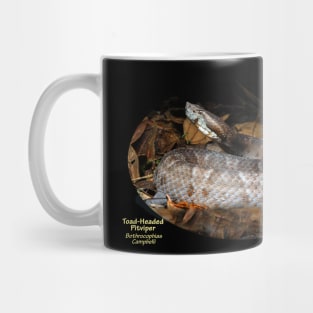 Toad-Headed Pitviper Mug